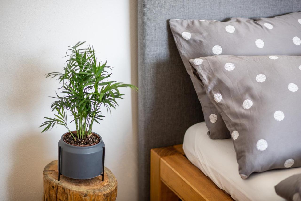 Apartmany Na Mikulasskem Namesti ズノイモ エクステリア 写真