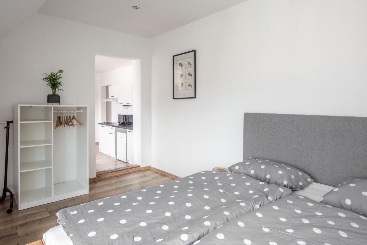 Apartmany Na Mikulasskem Namesti ズノイモ エクステリア 写真